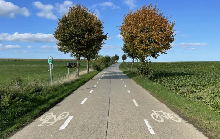 chaussée à voie centrale